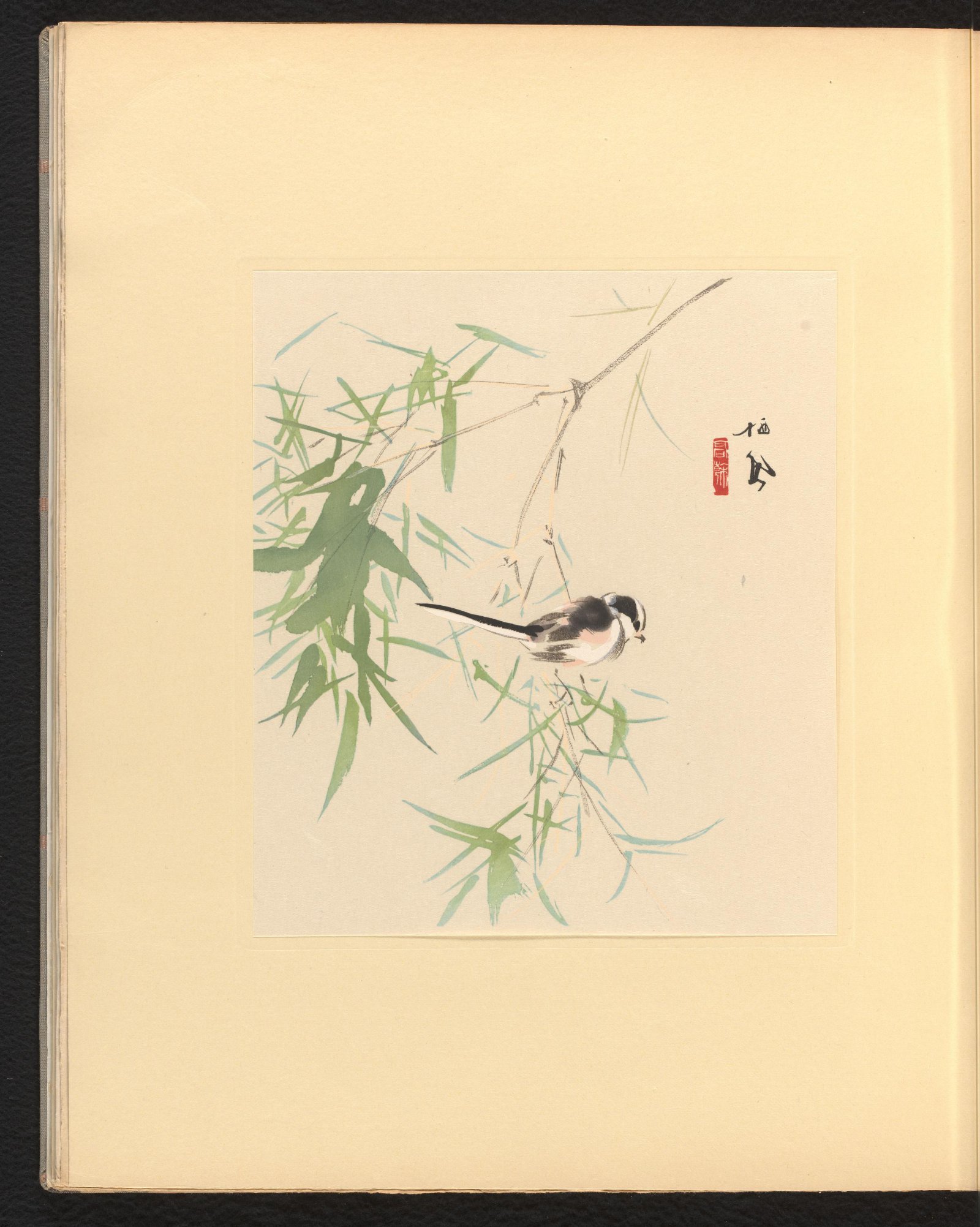 栖鳳逸品集 竹に小禽 / 竹内栖鳳 | Cugira