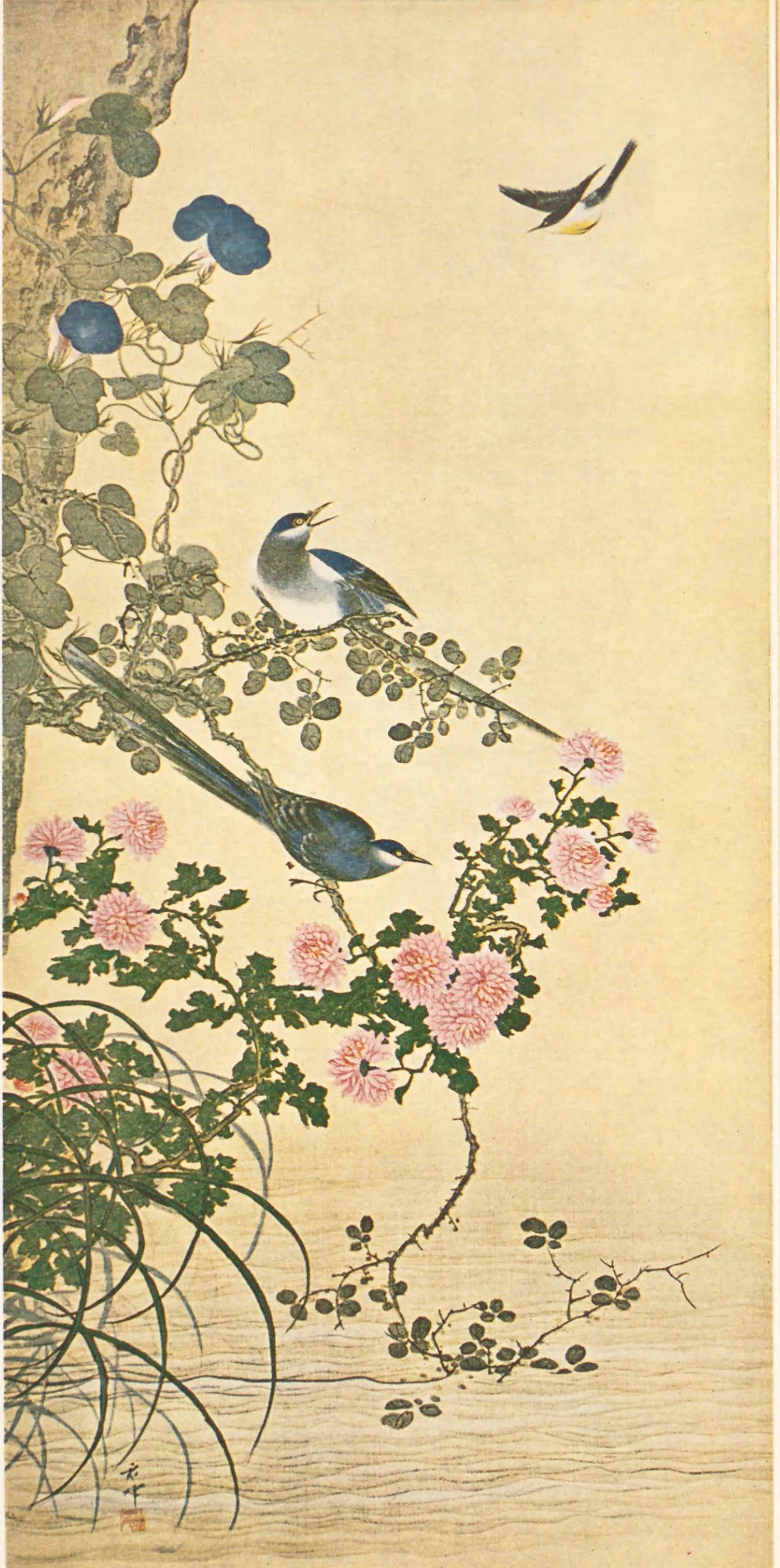 花鳥図 / 岡本秋暉 | Cugira