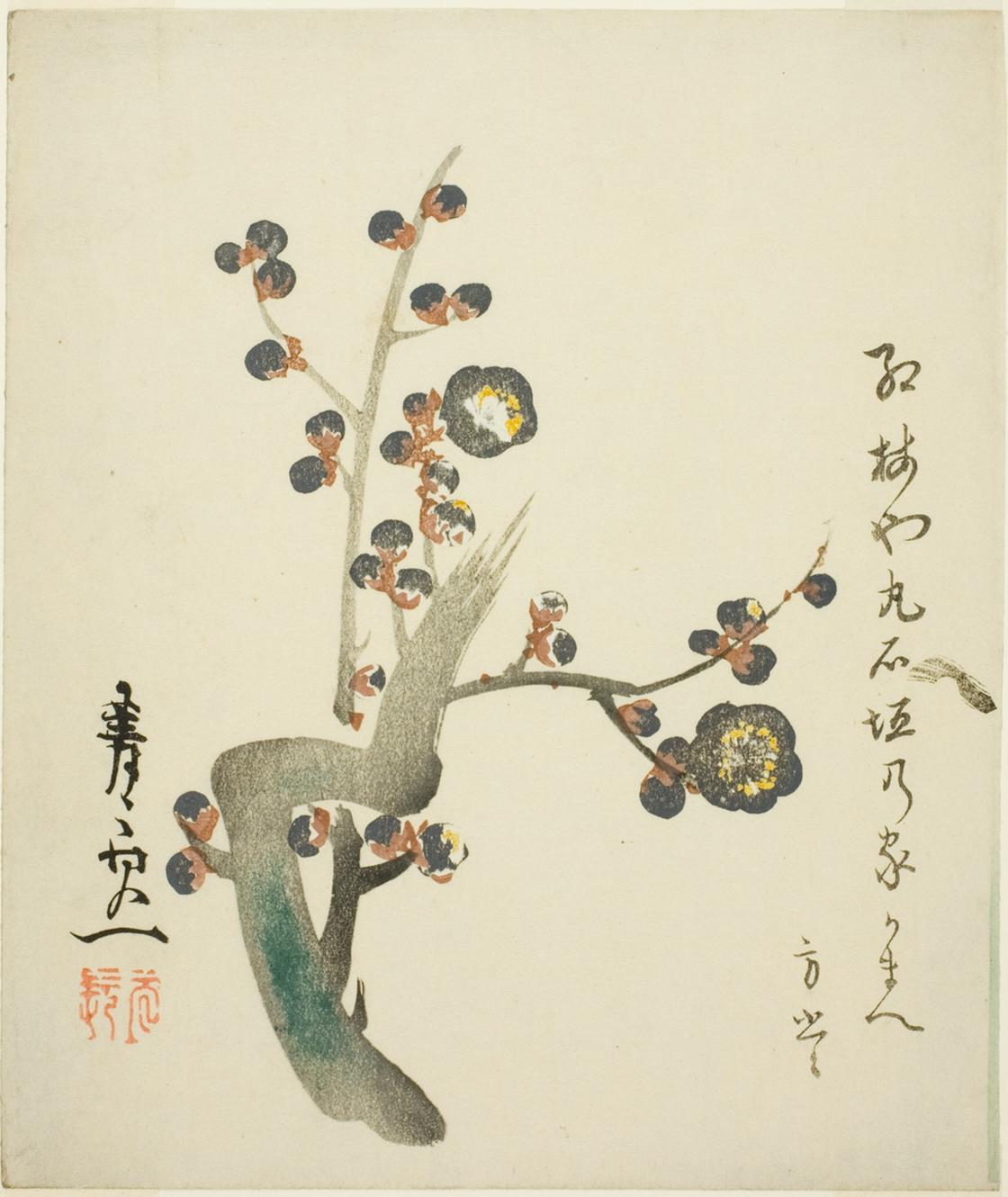 紅梅図