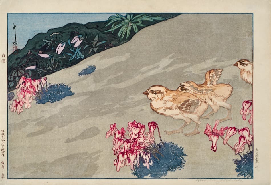 Snow Grouses and Flowers of Dicentra Peregrina, from the Series "Twelve Scenes in the Japan Alps"