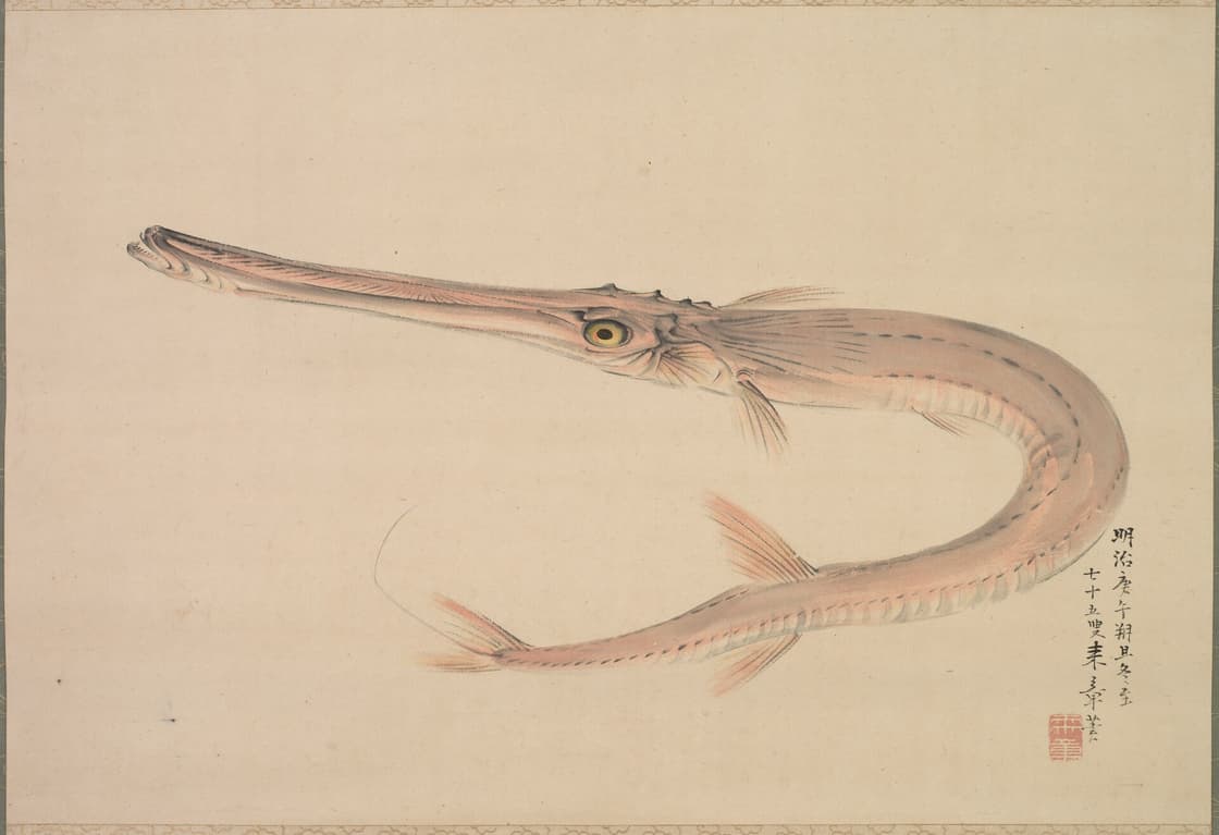 Needlefish (Yagara)