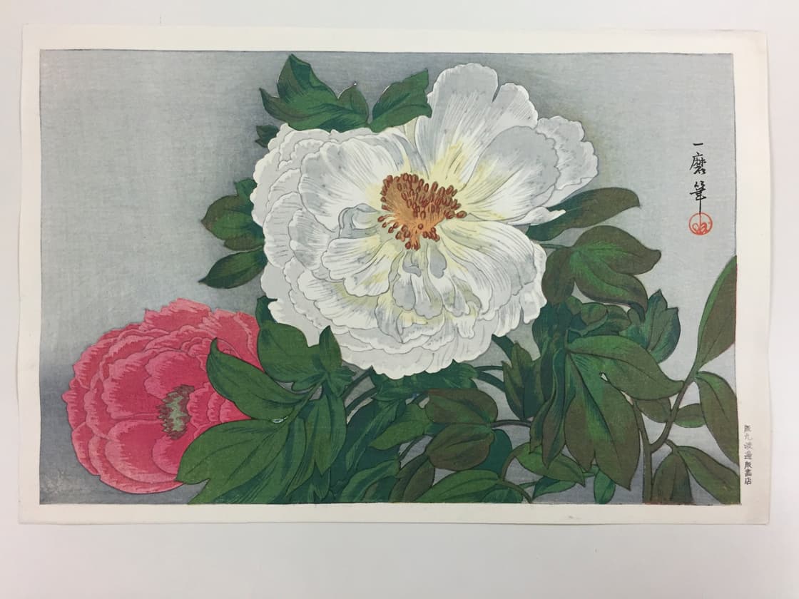 Peonies