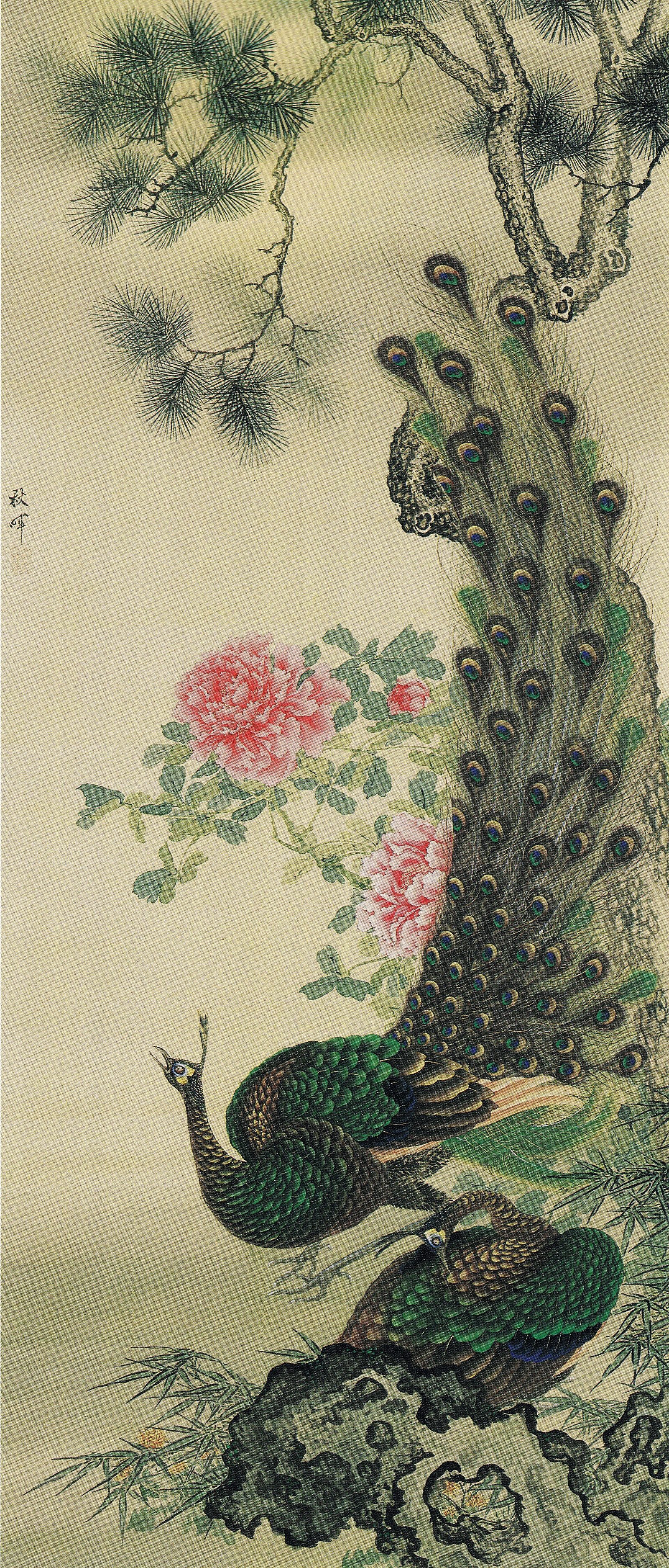 牡丹孔雀図 / 岡本秋暉 | Cugira