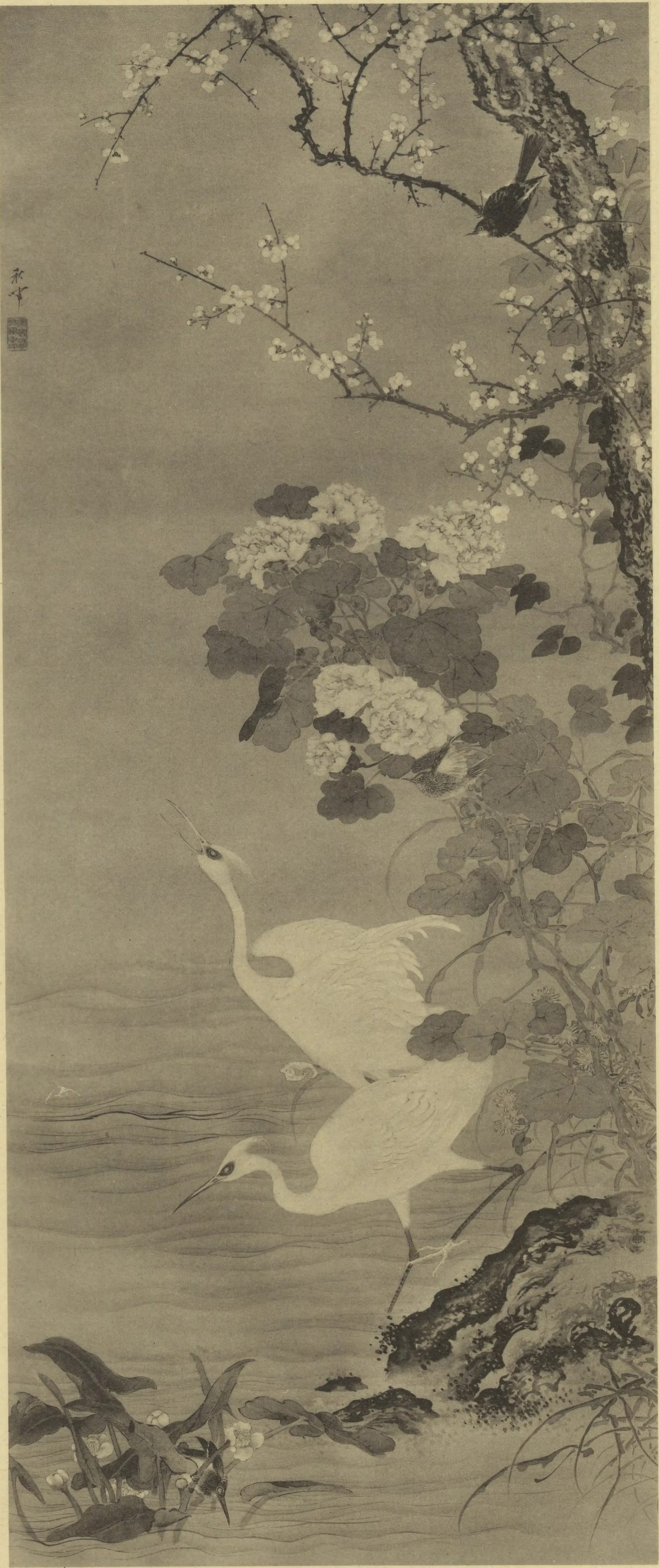 花鳥図 / 岡本秋暉 | Cugira