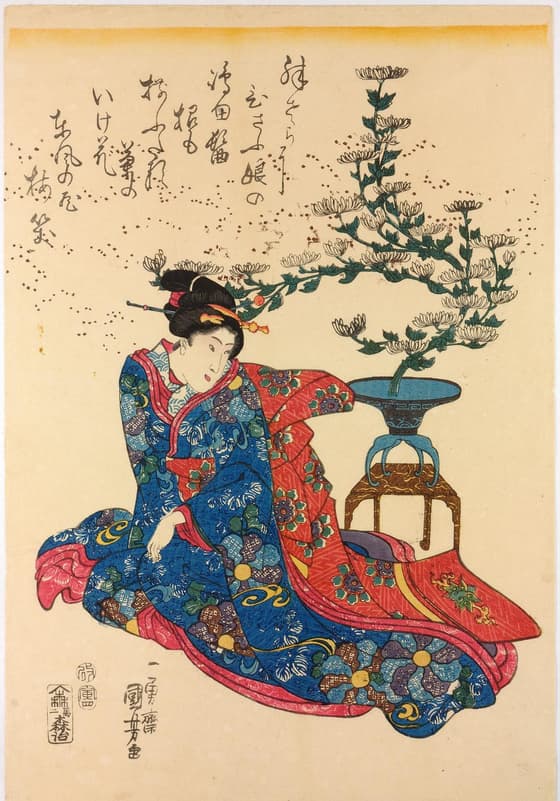見立さし花 菊