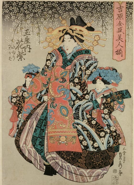 玉屋内花紫