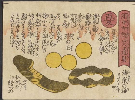 四季の張形