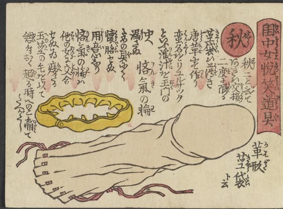 秋: 革形茎袋