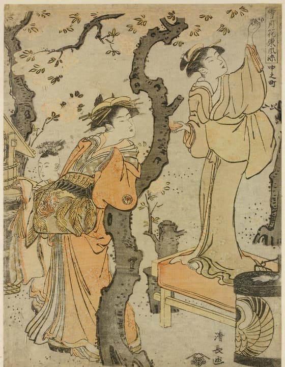 中之町