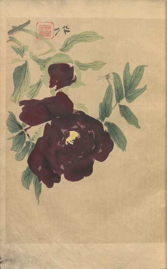 棲鳳画譜 一枝濃艶
