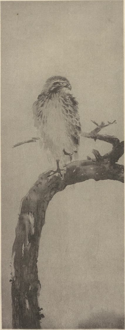 棲鳳画譜 枯松棲鳶