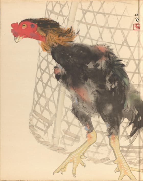 栖鳳逸品集 軍鶏