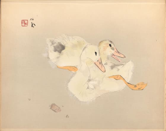 栖鳳逸品集 家鴨（一）