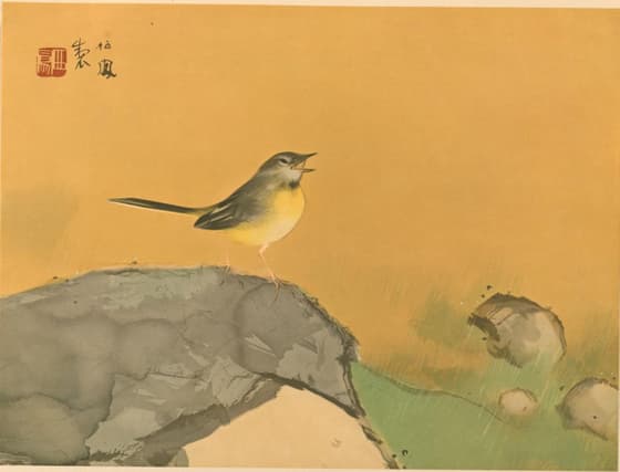 栖鳳逸品集 岩上の鶺鴒