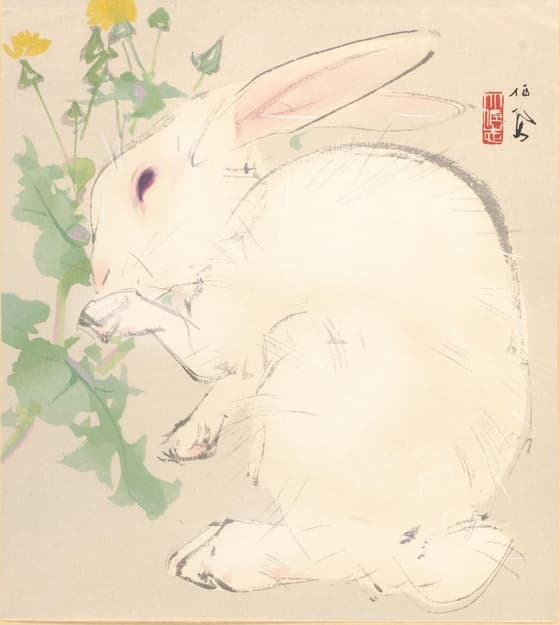 栖鳳逸品集 兎（一）