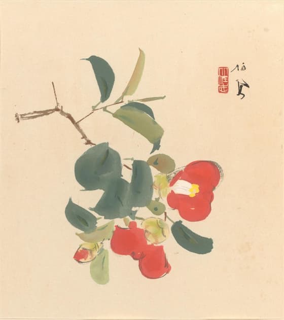 栖鳳逸品集 紅椿