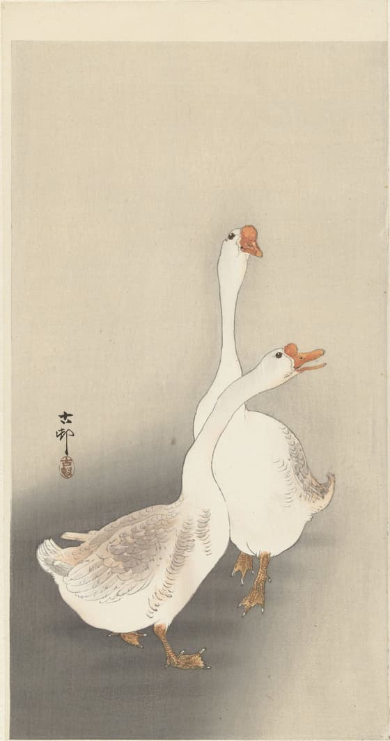 支那鵞鳥（大黒屋版）