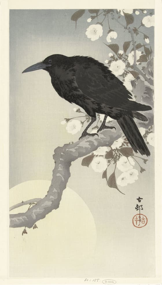 月に桜と烏（大黒屋版）