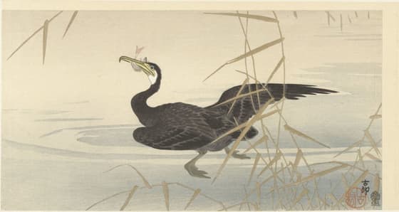 芦辺の鵜（滑稽堂版）