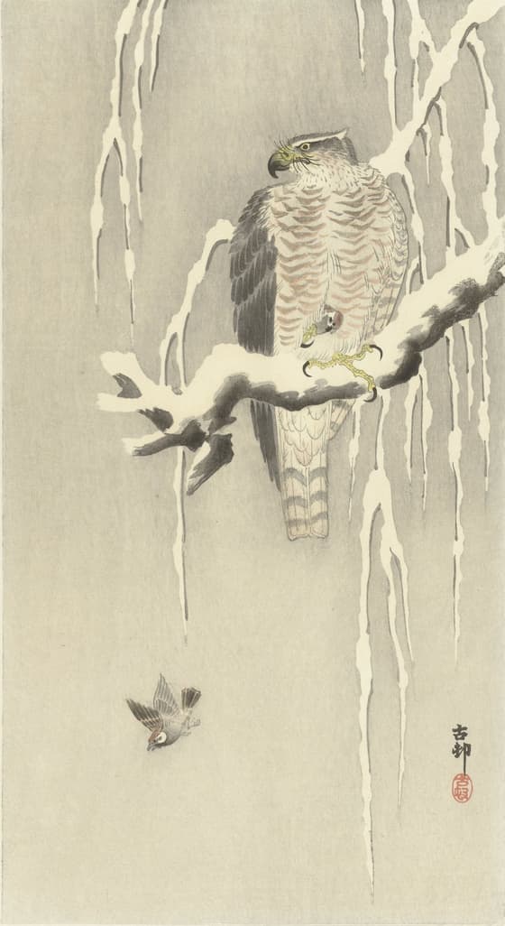 大鷹と温め鳥（大黒屋版）