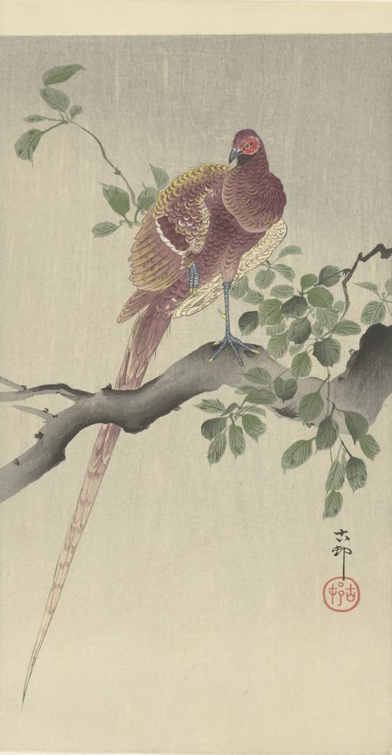 葉桜に山鳥（大黒屋版）