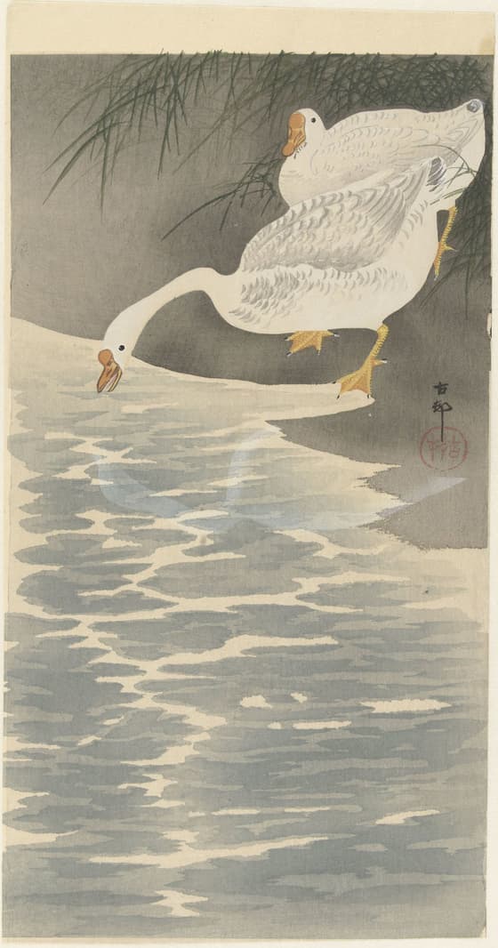 水辺の支那鵞鳥（大黒屋版）