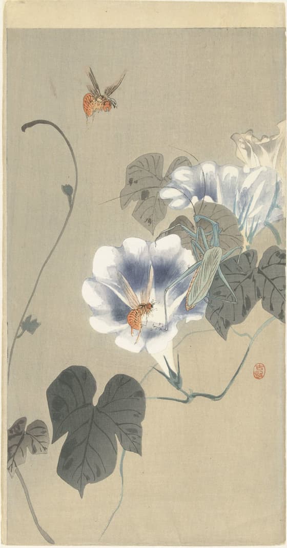 朝顔に蟷螂と蜂（大黒屋版）