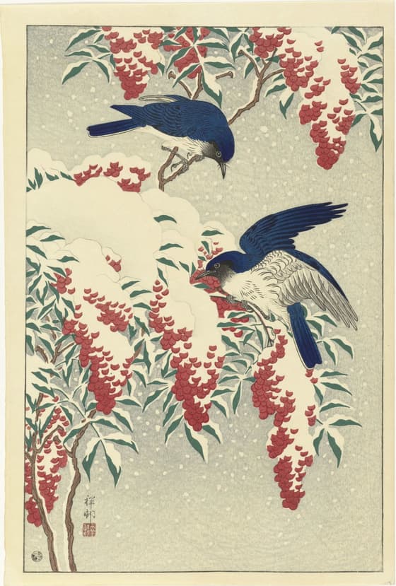 雪中南天に瑠璃鳥（渡辺版）