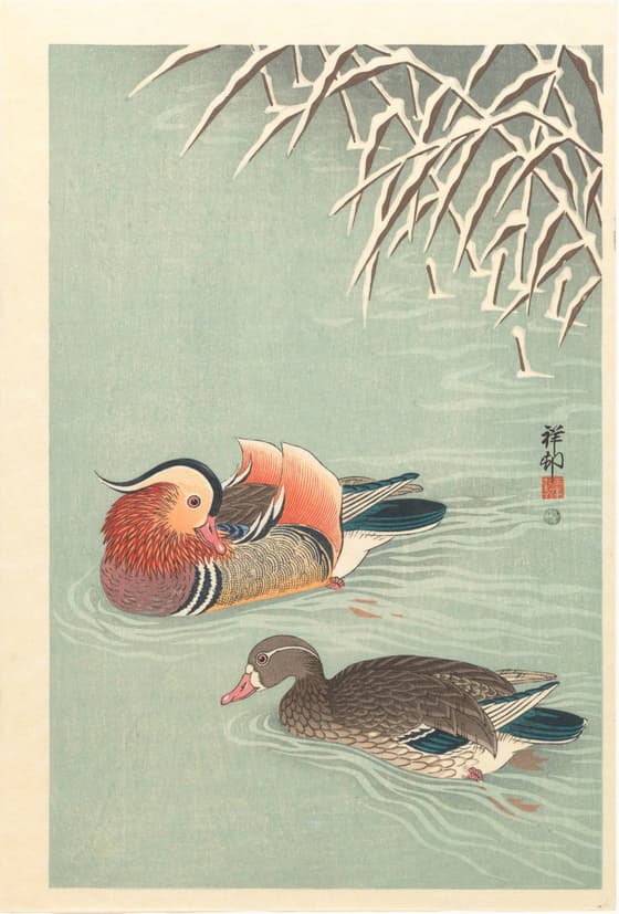 鴛二羽（渡辺版）