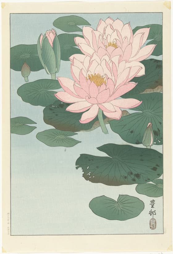 睡蓮（川口版）