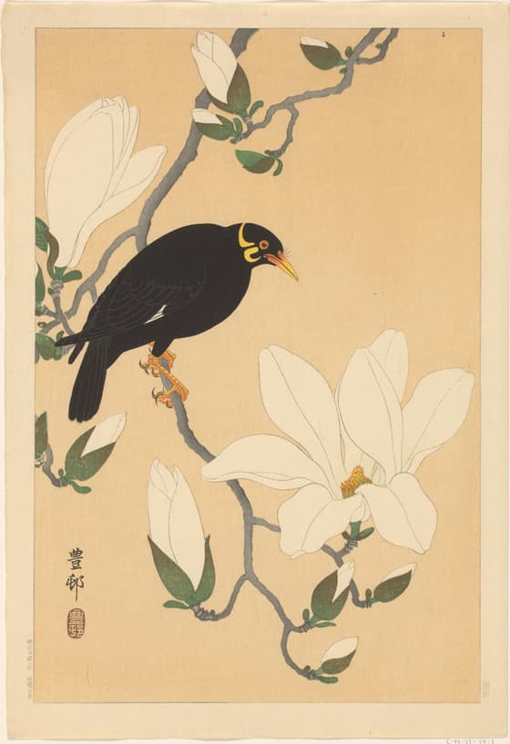 木蓮に九官鳥（川口版）
