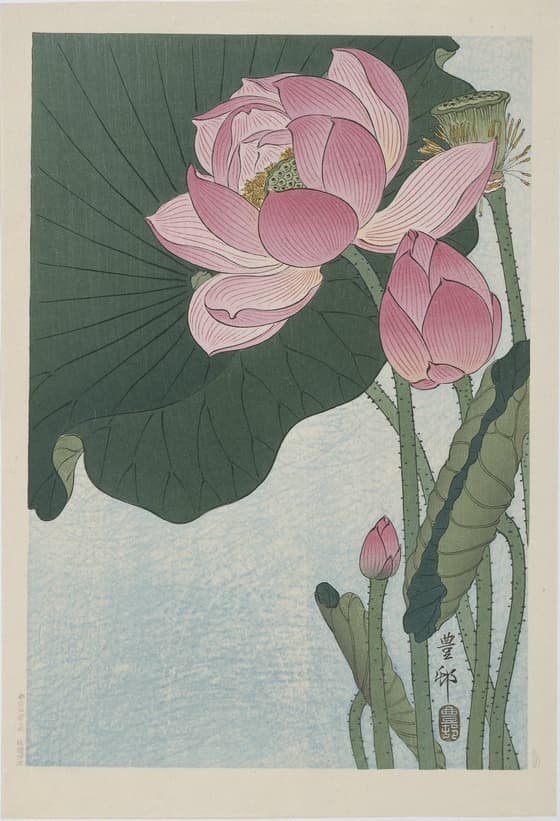 蓮（川口版）