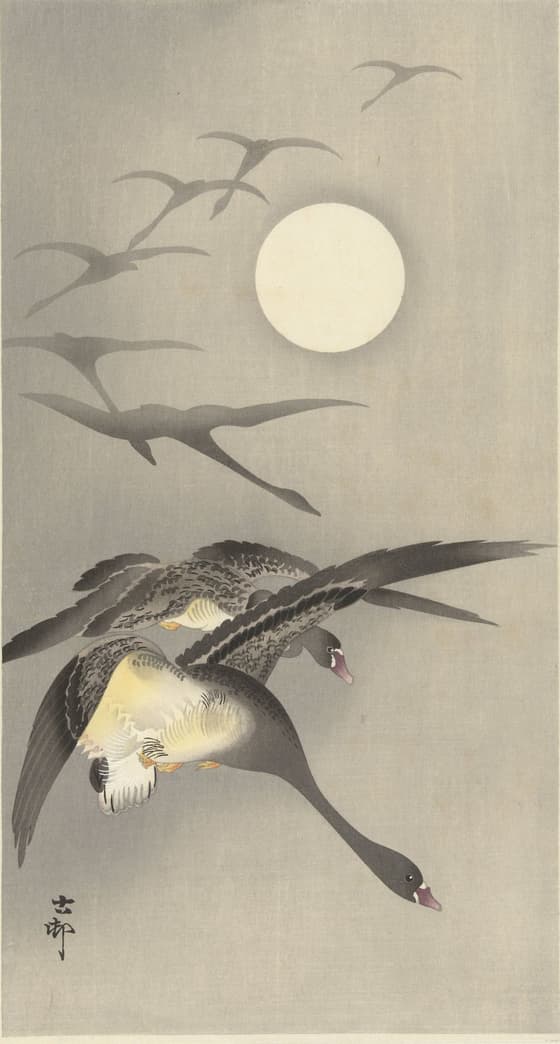 月に雁（安達版）