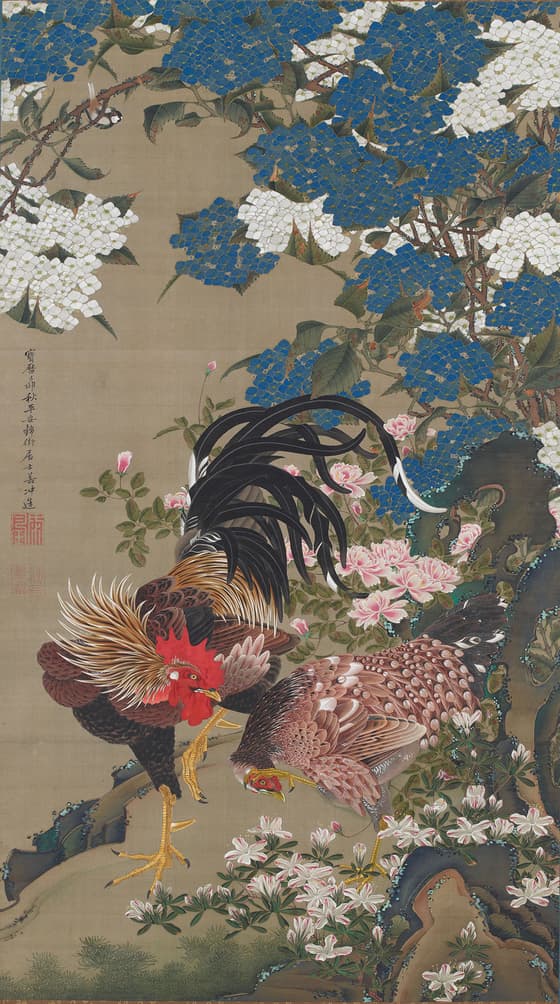 紫陽花双鶏図（動植綵絵）