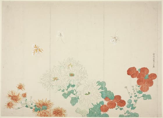 菊三種