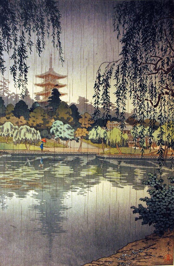 興福寺の雨
