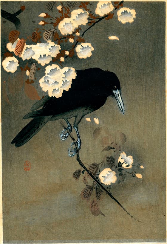 烏に花