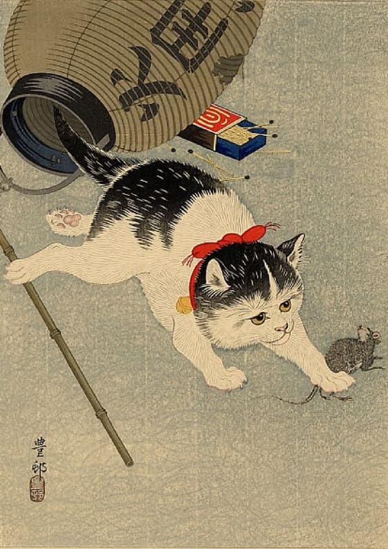 猫と提灯（川口版）