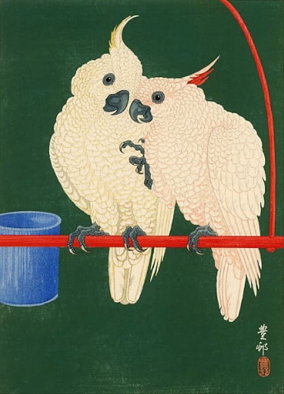 つがいの鸚鵡（川口版）