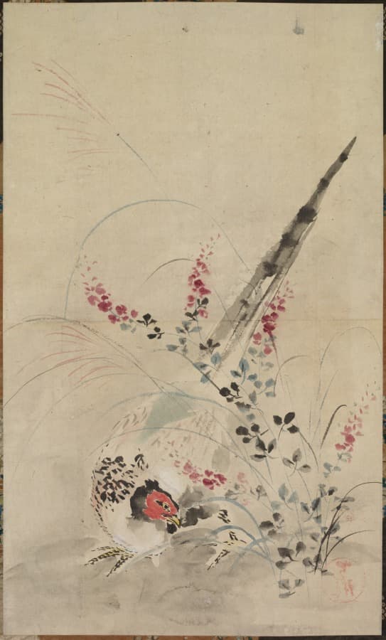 Pheasant and Grasses