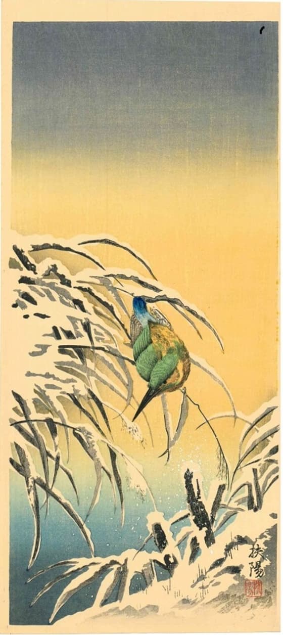 雪中の翡翠