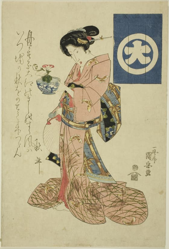 四季美人　秋