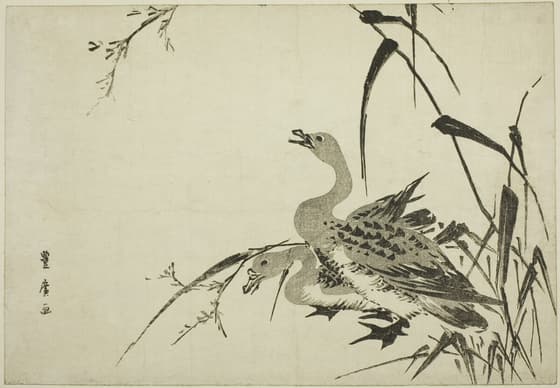 芦に雁