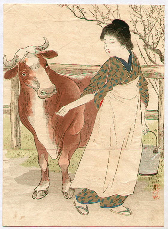 ちち