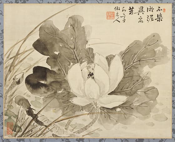 蓮花図