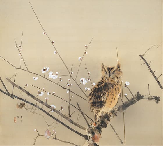寒梅