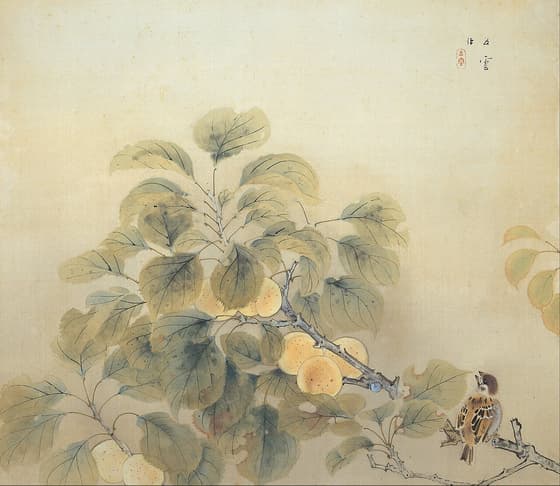 梅雨