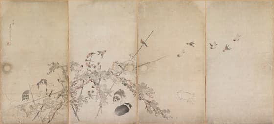 狗子雀菊図