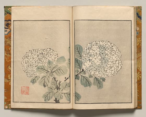 写山楼画本　第十七図　紫陽花