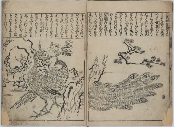 花鳥絵づくし（伝菱川師宣）